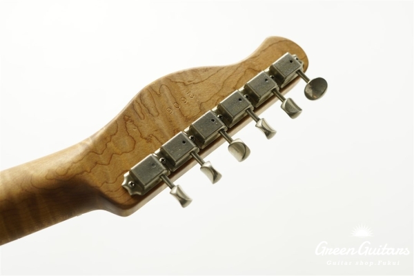 XTC-1 - Desert sand / Medium Aged / Alder / M / Roasted Flame Maple Neck #2606